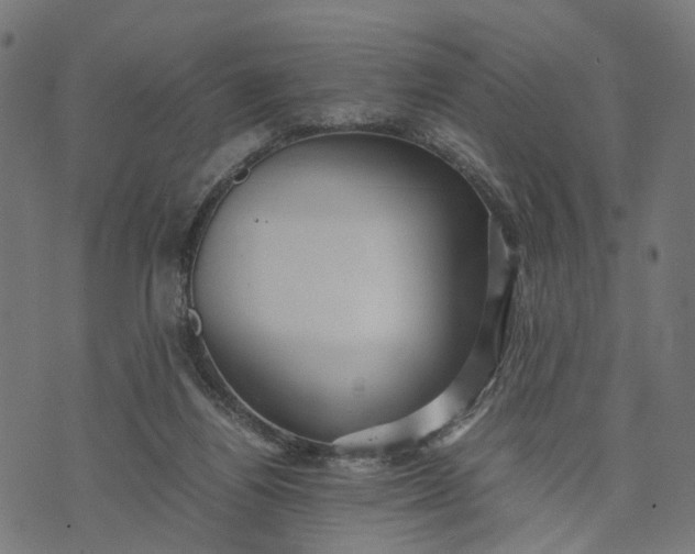 X0000070390164200606231746