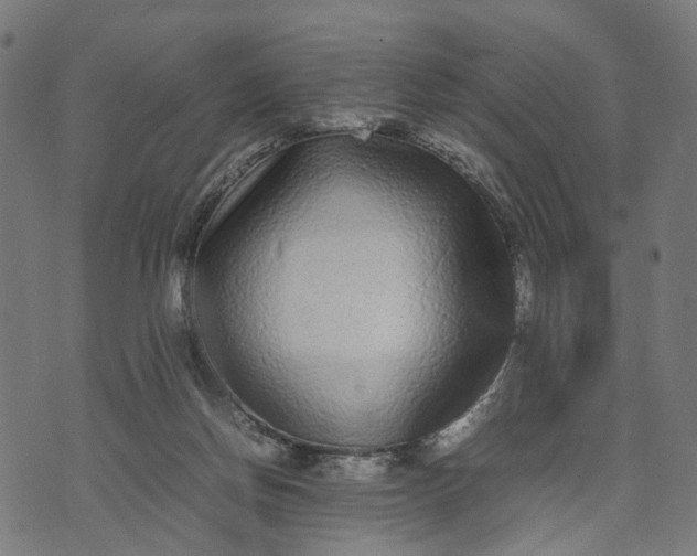 X0000070390166200606231746