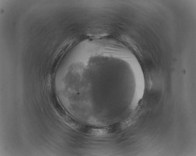 X0000070390167200606231746