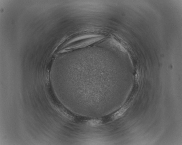 X0000070390168200606231746