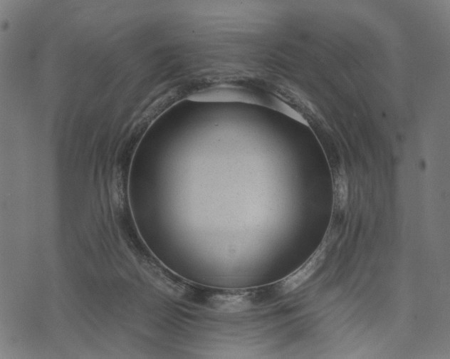 X0000070390170200606231746