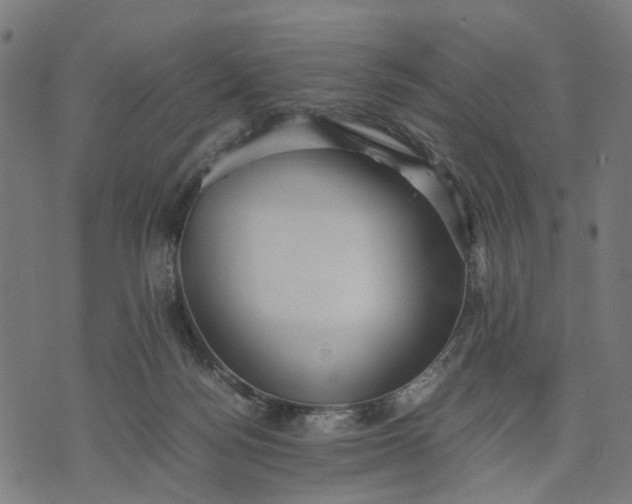 X0000070390172200606231746