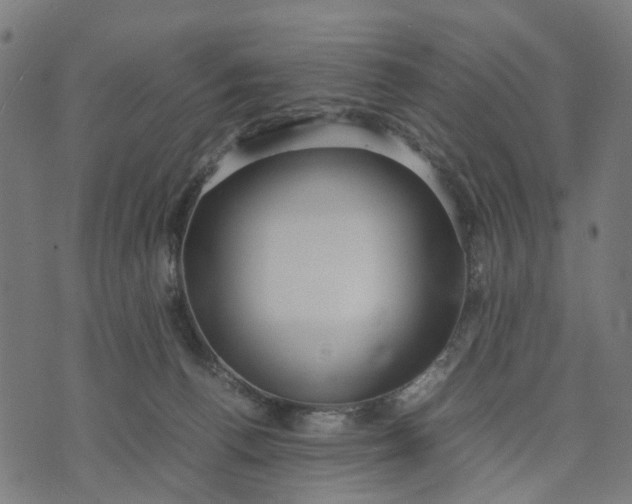 X0000070390176200606231746