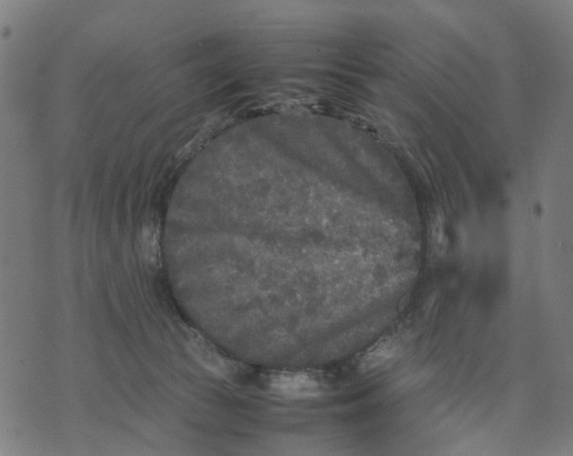 X0000070390177200606231746