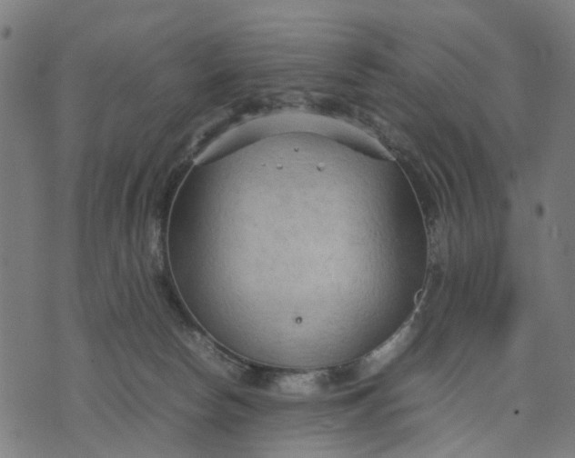 X0000070390178200606231746