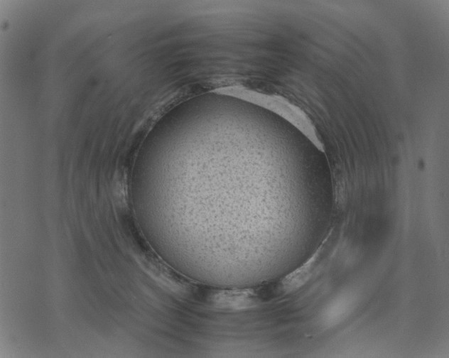 X0000070390179200606231746