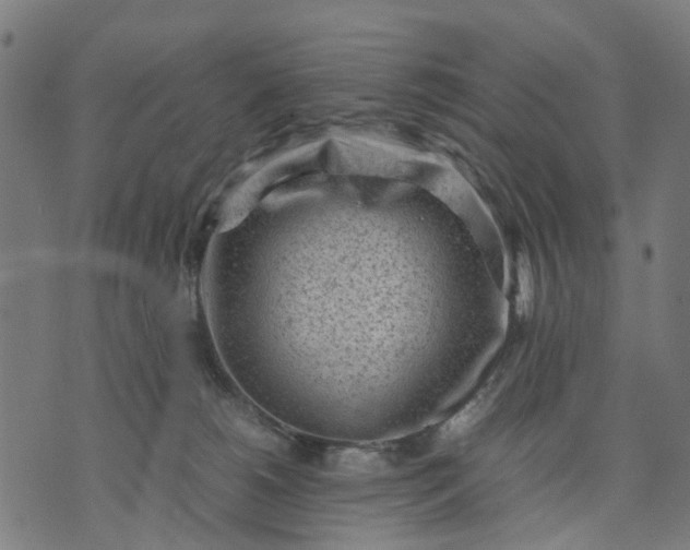 X0000070390180200606231746