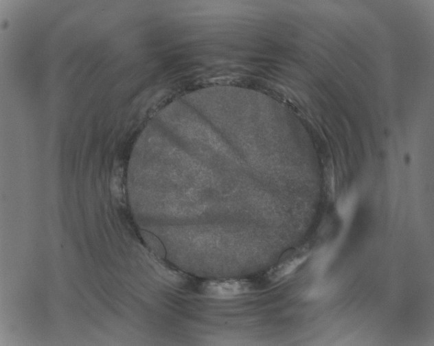 X0000070390181200606231746