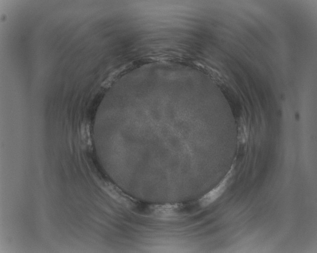 X0000070390182200606231746