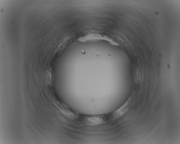 X0000070390183200606231746