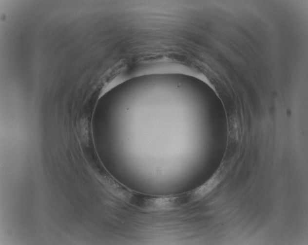 X0000070390184200606231746