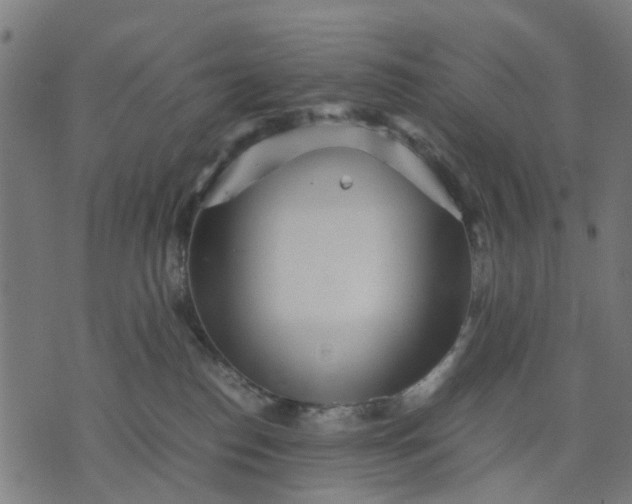 X0000070390186200606231747