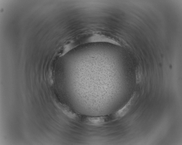 X0000070390187200606231747