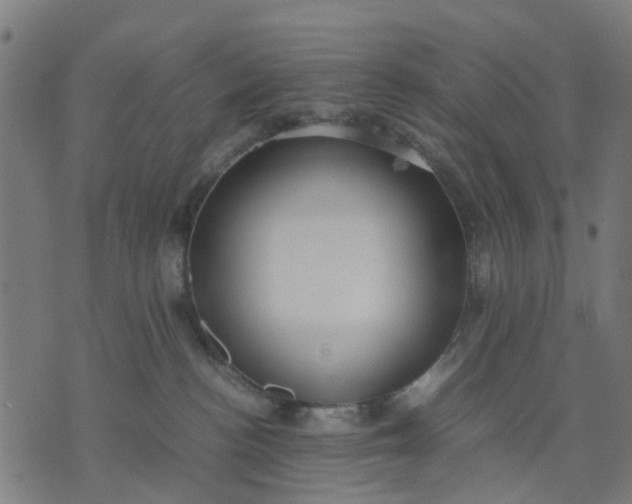 X0000070390188200606231747