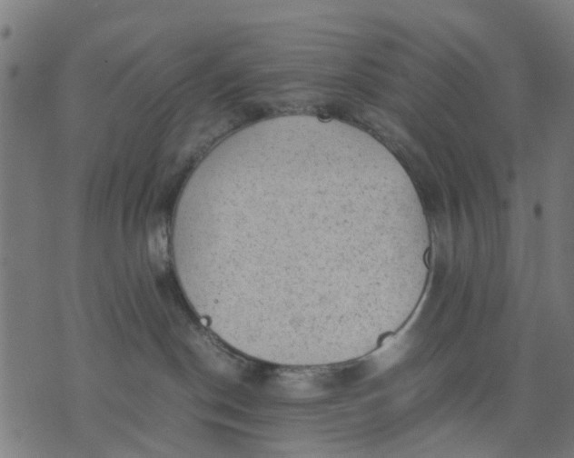 X0000070390190200606231747