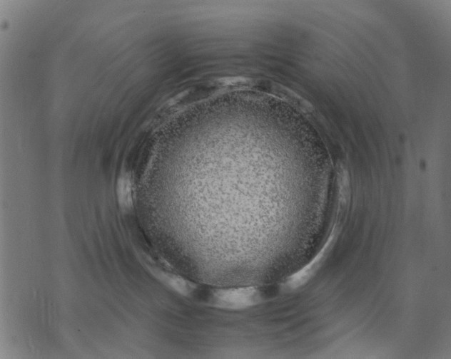 X0000070390191200606231747