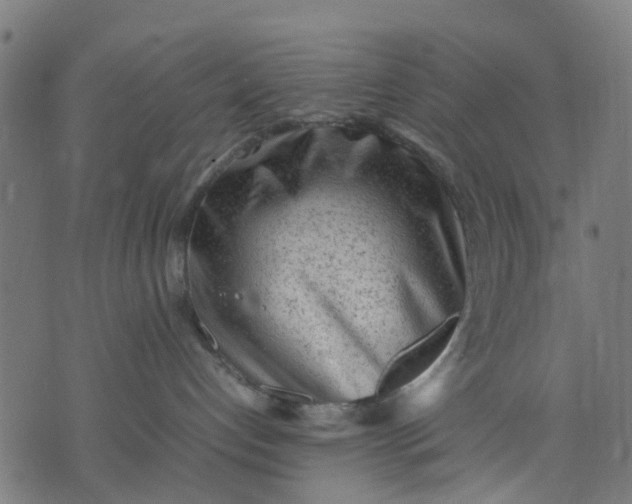 X0000070390192200606231747