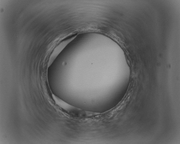 X0000070390193200606231746