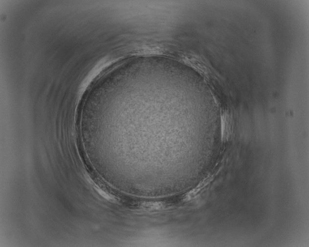 X0000070390195200606231746