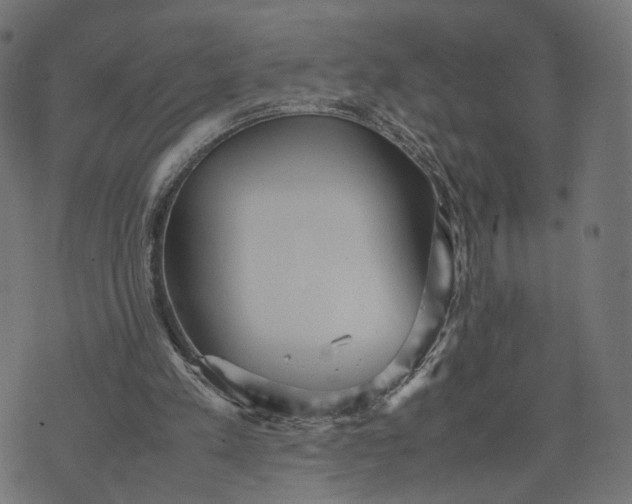 X0000070390197200606231746