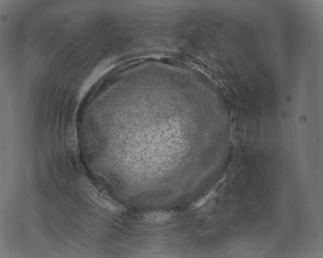 X0000070390198200606231746