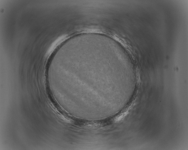 X0000070390199200606231746