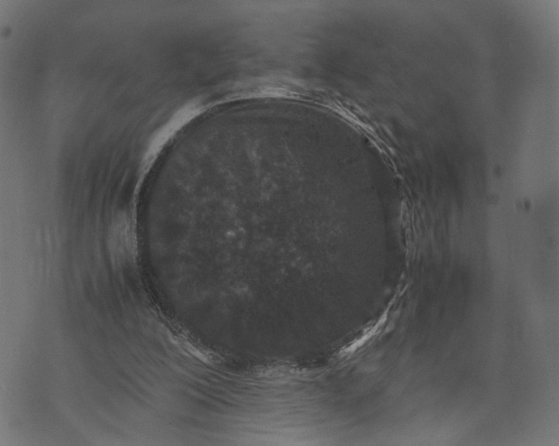 X0000070390200200606231746