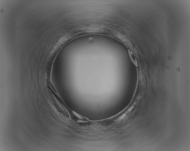 X0000070390201200606231746