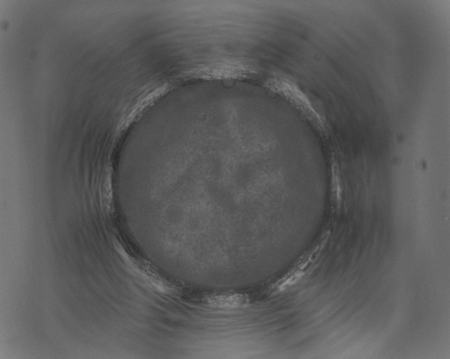 X0000070390202200606231746