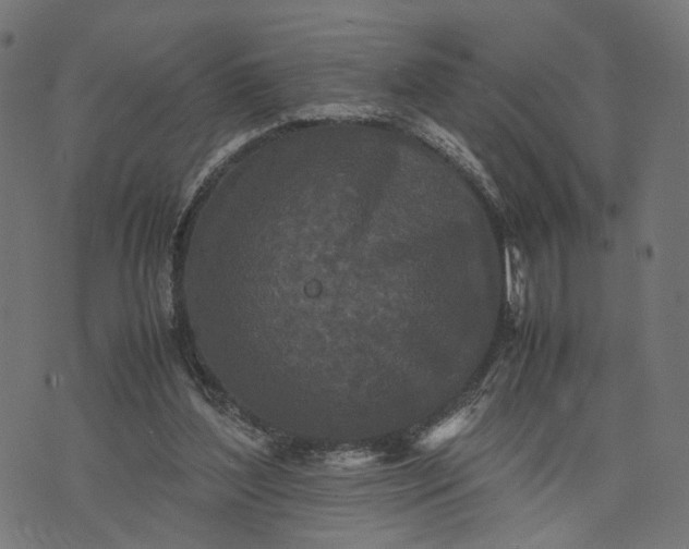 X0000070390204200606231746