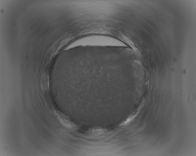 X0000070390205200606231746