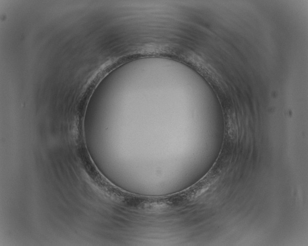 X0000070390208200606231746