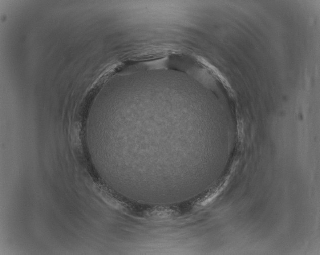 X0000070390209200606231746