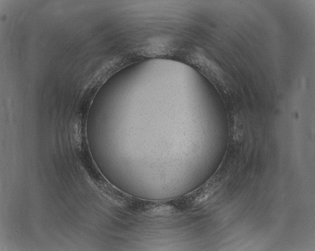 X0000070390210200606231746