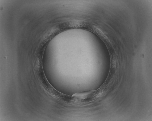 X0000070390211200606231746