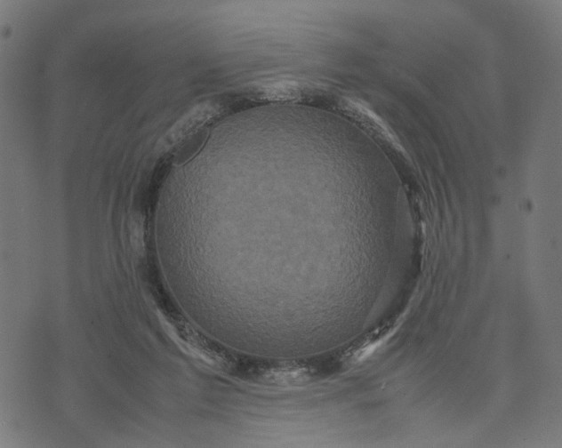 X0000070390213200606231746