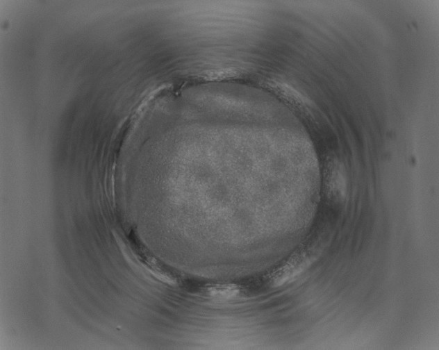 X0000070390214200606231745