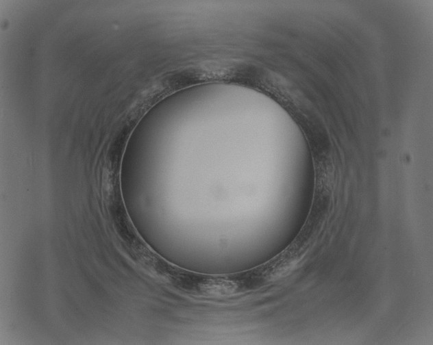 X0000070390215200606231745