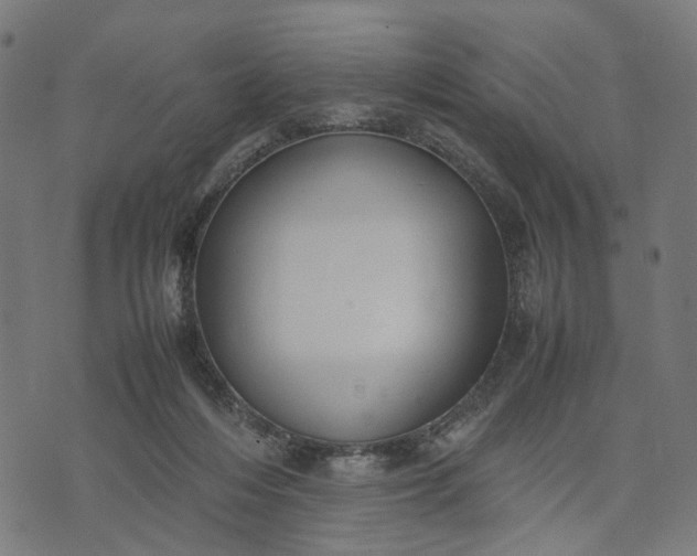 X0000070390216200606231745