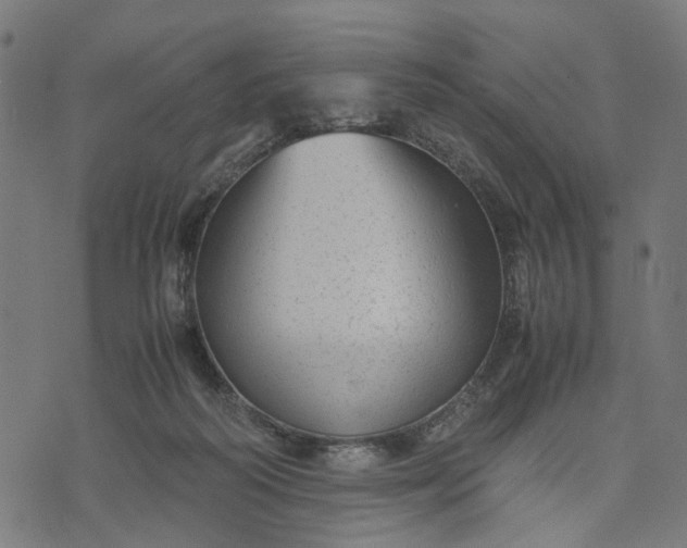 X0000070390218200606231745