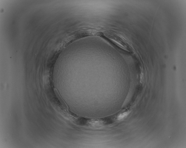 X0000070390221200606231745