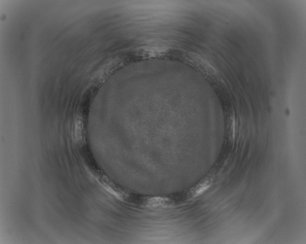 X0000070390222200606231745