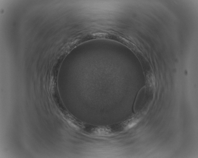 X0000070390223200606231745