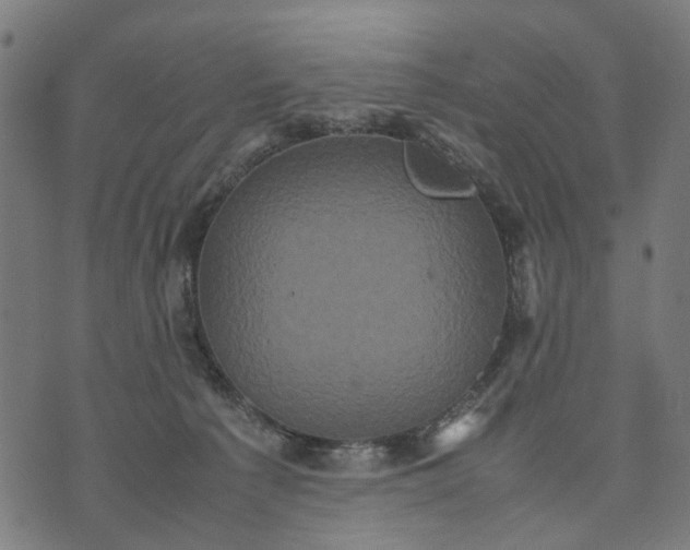 X0000070390225200606231745