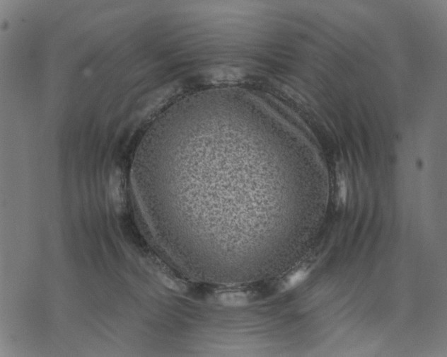 X0000070390228200606231745