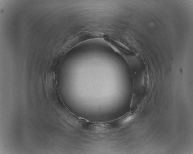 X0000070390229200606231745