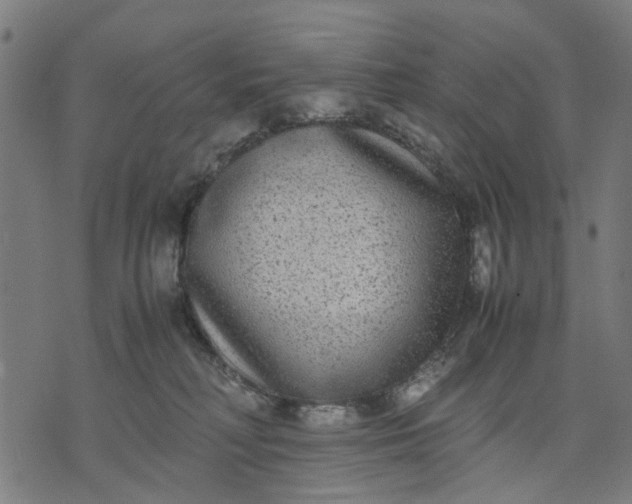 X0000070390230200606231745