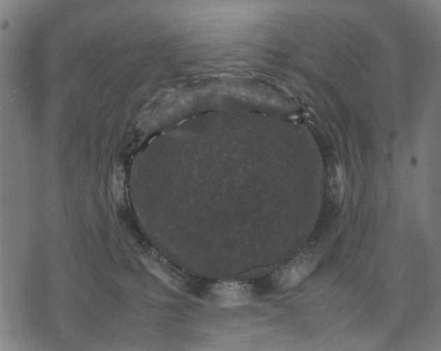 X0000070390231200606231745