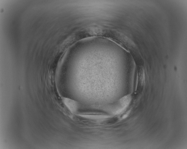 X0000070390233200606231745