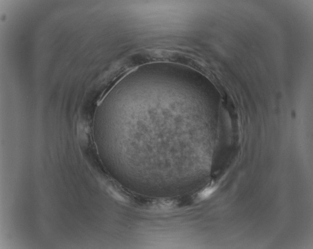 X0000070390235200606231745